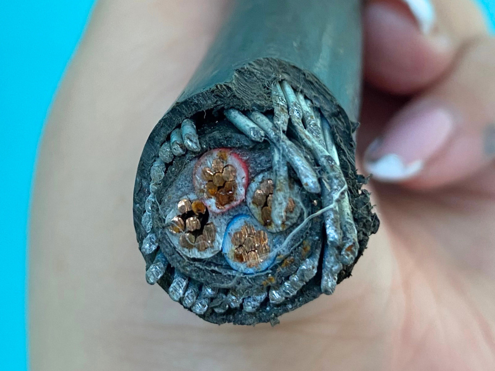 steel armoured cable — 2