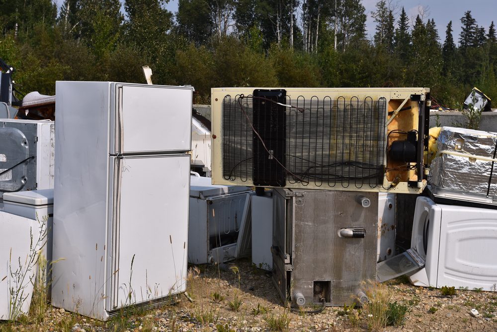 fridges — 1